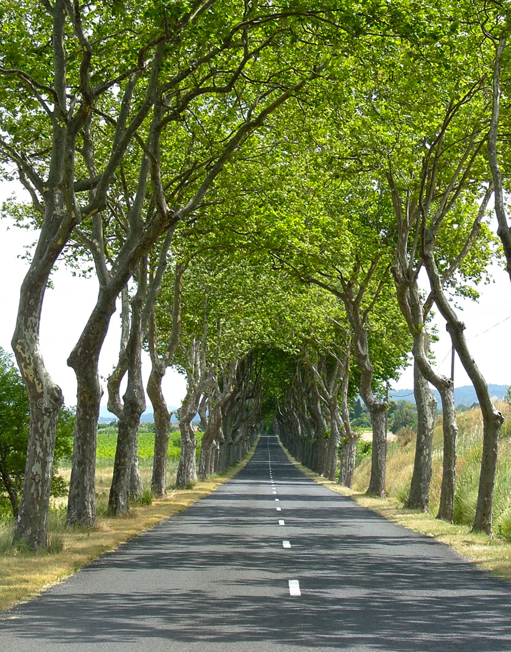 French Road
